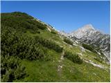 Planina Podvežak - Tolsti vrh (Veža)